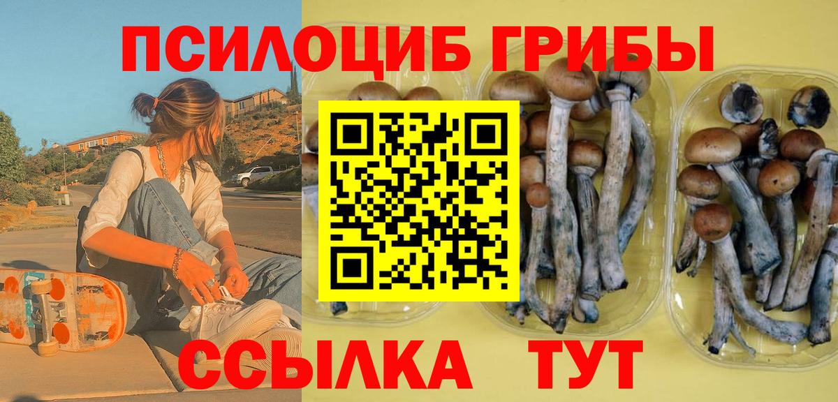Псилоцибиновые грибы GOLDEN TEACHER  цена наркотик  Вход с VPN  Янаул  Псилоцибиновые грибы мицелий 